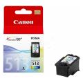 Canon prindikassett värv (2971B001 / CL513) (high capacity)