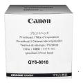 Canon prindipea värv (QY68018 / QY68018000)